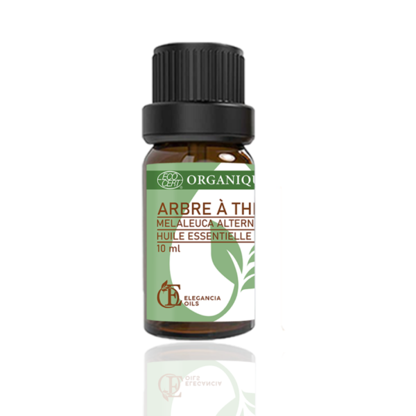 Huile essentielle Arbre à Thé 10ml - Elegancia Oils